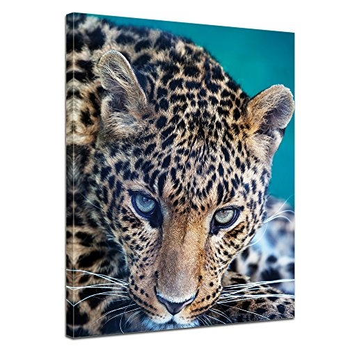 Wandbild Leopard - Portrait - 50x60 cm Bilder als Leinwanddruck Fotoleinwand Tierbild Großkatze Raubtier Nahaufnahme eines Leoparden