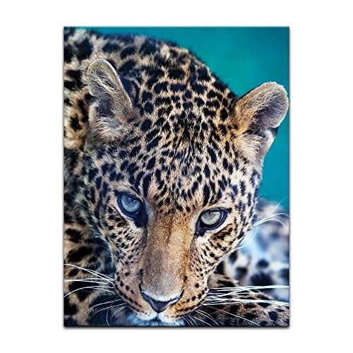 Wandbild Leopard - Portrait - 50x60 cm Bilder als Leinwanddruck Fotoleinwand Tierbild Großkatze Raubtier Nahaufnahme eines Leoparden