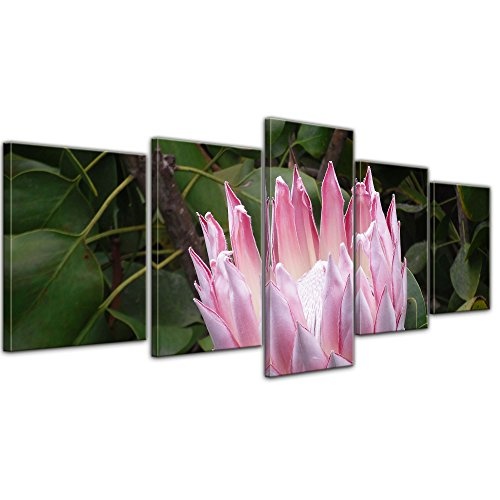 Wandbild - Lotusblüte III - Bild auf Leinwand 200 x...