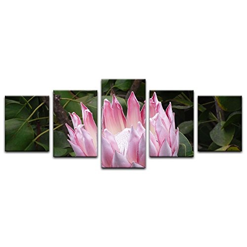 Wandbild - Lotusblüte III - Bild auf Leinwand 200 x 80 cm 5tlg - Leinwandbilder - Bilder als Leinwanddruck - Pflanzen & Blumen - Natur - Blüte Einer Lotuspflanze