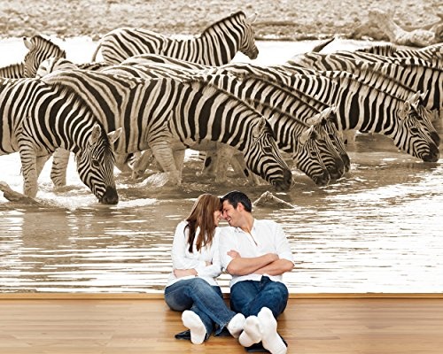 Bilderdepot24 Vlies Fototapete - Zebras an Einer Wasserstelle - sephia - Sepia - 150x100 cm - mit Kleister - Poster - Foto auf Tapete - Wandbild - Wandtapete - Vliestapete