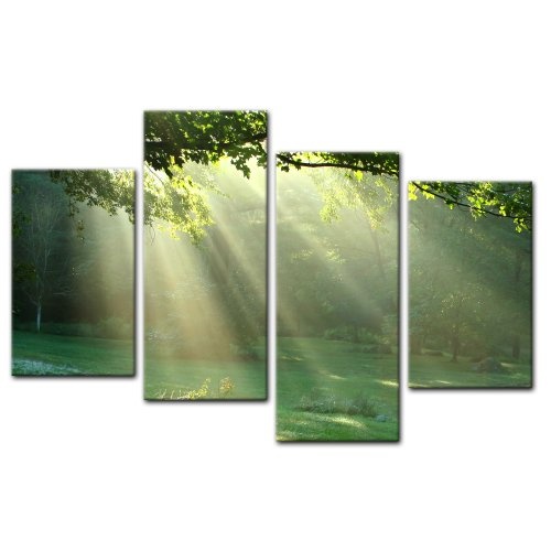 Wandbild - Wiese - Bild auf Leinwand - 120x80 cm 4 teilig - Leinwandbilder - Bilder als Leinwanddruck - Landschaften - Natur - Sonnenstrahlen auf Einer grünen Wiese