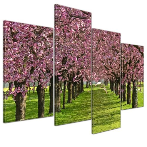 Wandbild - Kirschblüten - Bild auf Leinwand - 120x80...