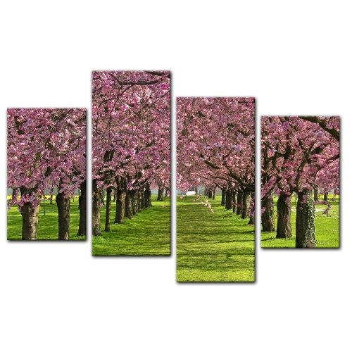 Wandbild - Kirschblüten - Bild auf Leinwand - 120x80 cm 4 teilig - Leinwandbilder - Bilder als Leinwanddruck - Pflanzen & Blumen - Natur - Kirschbäume in voller Blüte