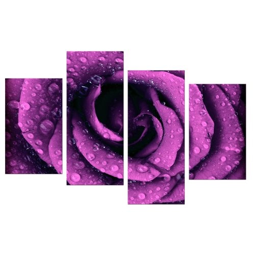 Wandbild - Lila Rose mit Tropfen - Bild auf Leinwand - 120x80 cm 4 teilig - Leinwandbilder - Pflanzen & Blumen - Rosenblüte - Nahaufnahme - romantisch