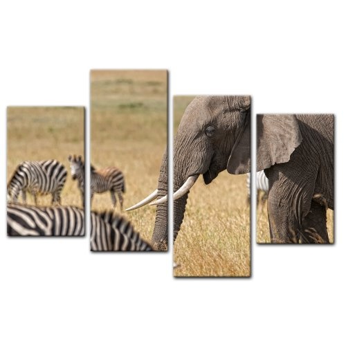 Wandbild - Afrika (Zebra und Elefant) - Bild auf Leinwand...