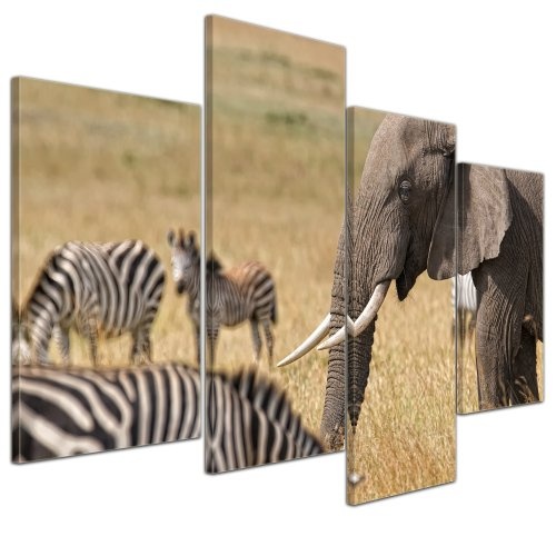 Wandbild - Afrika (Zebra und Elefant) - Bild auf Leinwand - 120x80 cm 4 teilig - Leinwandbilder - Bilder als Leinwanddruck - Tierwelten - Natur -Afrika - afrikanische Fauna