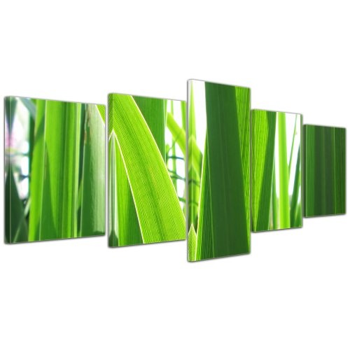 Wandbild - Gras - Bild auf Leinwand - 200x80 cm 5 teilig - Leinwandbilder - Bilder als Leinwanddruck - Pflanzen & Blumen - Grashalme im Sonnenlicht