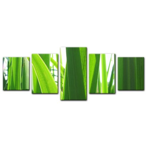 Wandbild - Gras - Bild auf Leinwand - 200x80 cm 5 teilig - Leinwandbilder - Bilder als Leinwanddruck - Pflanzen & Blumen - Grashalme im Sonnenlicht