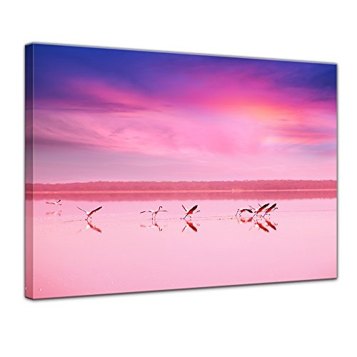 Wandbild Flamingo IV - 50x40 cm Bilder als Leinwanddruck...