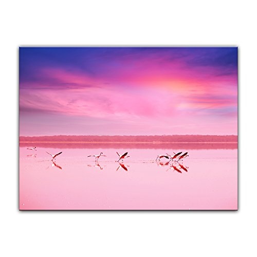 Wandbild Flamingo IV - 50x40 cm Bilder als Leinwanddruck Fotoleinwand Tierbild Vogel - Natur Flamingos auf Einem See