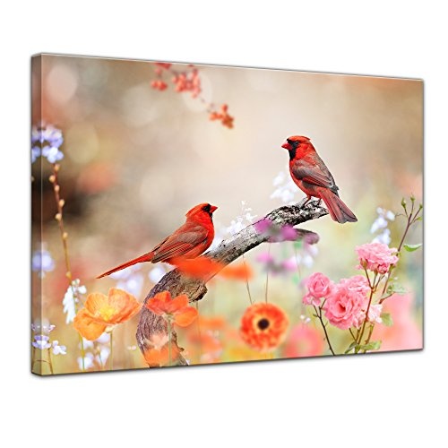 Wandbild Rotkardinal - 70x50 cm Bilder als Leinwanddruck Fotoleinwand Tierbild Vogel - Natur Zwei Vögel auf Einer Blumenwiese