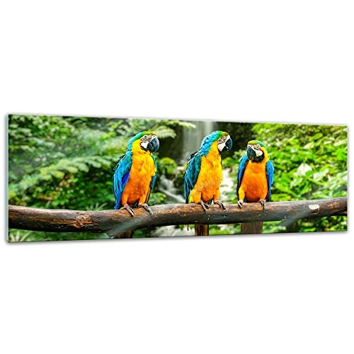 Glasbild - Blau-Gelber Macaw Papagei - 120x40 cm - Deko Glas - Wandbild aus Glas - Bild auf Glas - Moderne Glasbilder - Glasfoto - Echtglas - kein Acryl - Handmade