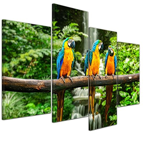 Wandbild - Blau-Gelber Papagei - Bild auf Leinwand -...