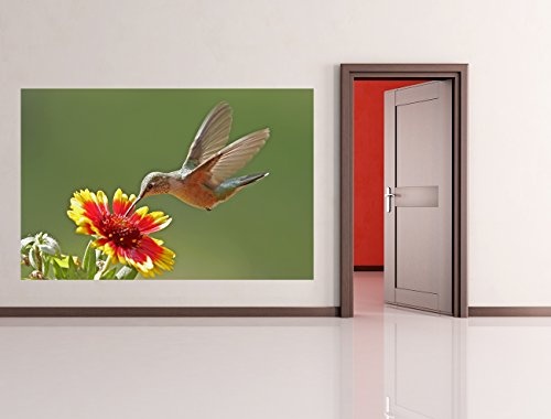 Bilderdepot24 Vlies Fototapete - Kolibri - 230x150 cm - mit Kleister - Poster - Foto auf Tapete - Wandbild - Wandtapete - Vliestapete