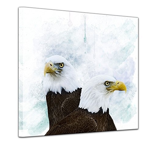 Wandbild - Aquarell - Adler - Bild auf Leinwand 40 x 40...