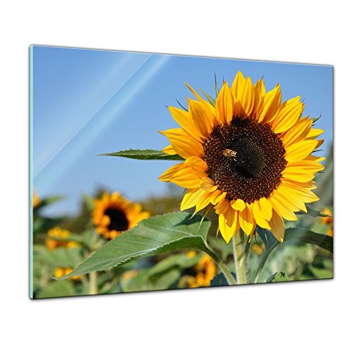 Glasbild - Sonnenblume mit Biene - 60 x 40 cm - Deko Glas - Wandbild aus Glas - Bild auf Glas - Moderne Glasbilder - Glasfoto - Echtglas - kein Acryl - Handmade