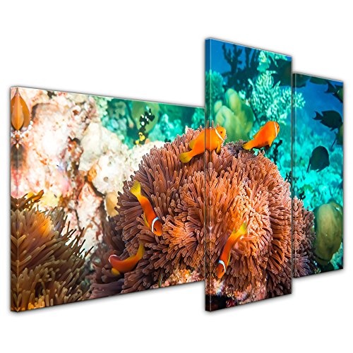 Wandbild Unterwasserwelt IV - 130x80 cm Bilder als Leinwanddruck Fotoleinwand Tierbild Leben im Meer - Meeresbewohner - Korallenriff mit Fischen und Schildkröte
