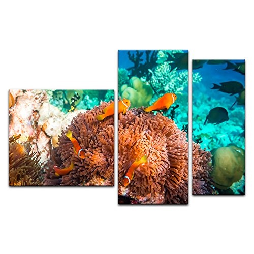 Wandbild Unterwasserwelt IV - 130x80 cm Bilder als Leinwanddruck Fotoleinwand Tierbild Leben im Meer - Meeresbewohner - Korallenriff mit Fischen und Schildkröte