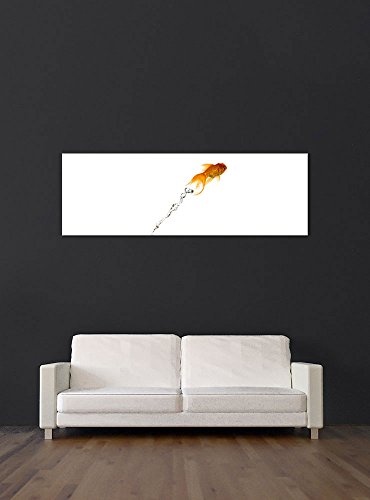 Keilrahmenbild - Springender Goldfisch - Bild auf Leinwand - 160x50 cm einteilig - Leinwandbilder - Tierwelten - Asien - Fisch mit Schleierschwanz - orangener Fächerschwanz