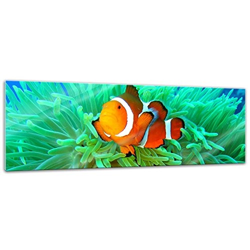 Glasbild - Nemo Found - 90 x 30 cm - Deko Glas - Wandbild...