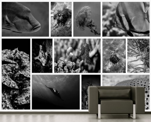 Bilderdepot24 Fototapete selbstklebend Unterwasser Collage - schwarz weiß 420x270 cm - Wandposter Tapete Motivtapete - Fische Meeresschildkröte Anemonenfisch Salzwasser Garnele Nemo