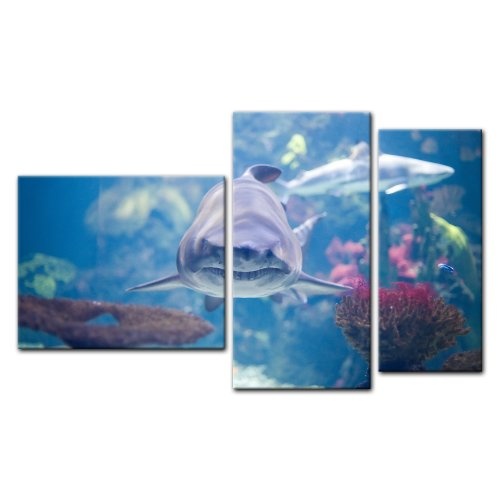 Wandbild - Hai III - Bild auf Leinwand - 130x80 cm 3 teilig - Leinwandbilder - Bilder als Leinwanddruck - Tierwelten - Wildtiere - Leben im Meer
