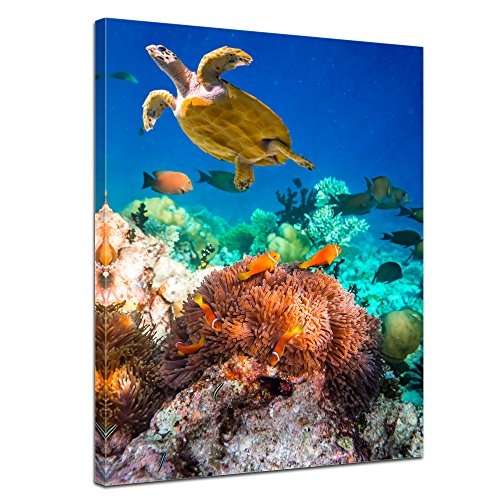 Keilrahmenbild Unterwasserwelt IV - 90x120 cm Bilder als...