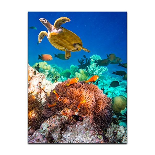 Keilrahmenbild Unterwasserwelt IV - 90x120 cm Bilder als Leinwanddruck Fotoleinwand Tierbild Leben im Meer - Meeresbewohner - Korallenriff mit Fischen und Schildkröte