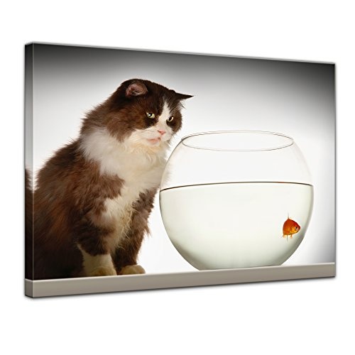 Keilrahmenbild Katze am Goldfischglas - 120x90 cm Bilder als Leinwanddruck Fotoleinwand Tierbild Haustiere - Fisch - Katze beobachtet ihre Beute