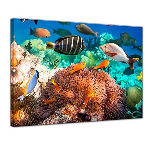 Keilrahmenbild Unterwasserwelt - 120x90 cm Bilder als Leinwanddruck Fotoleinwand Tierbild Leben im Meer - Meeresbewohner - Korallenriff mit Fischen