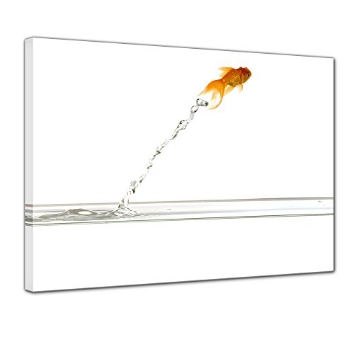 Keilrahmenbild - Springender Goldfisch - Bild auf Leinwand - 120x90 cm einteilig - Leinwandbilder - Tierwelten - Asien - Fisch mit Schleierschwanz - orangener Fächerschwanz