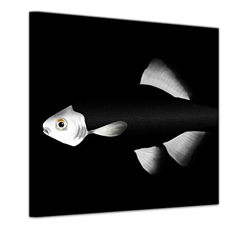 Keilrahmenbild - Fisch - schwarz weiß - Bild auf Leinwand - 80 x 80 cm - Leinwandbilder - Bilder als Leinwanddruck - Tierwelten - Illustration eines Fisches