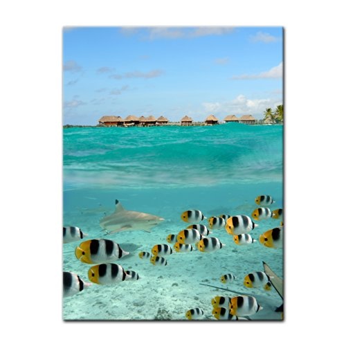 Keilrahmenbild - Hai und Fische in Bora Bora - Französisch-Polynesien - Bild auf Leinwand - 90x120 cm - Leinwandbilder - Urlaub, Sonne & Meer - Paradies - Unterwasser