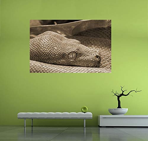 Bilderdepot24 Vlies Fototapete - Grüne Python - sephia - Sepia - 100x65 cm - mit Kleister - Poster - Foto auf Tapete - Wandbild - Wandtapete - Vliestapete