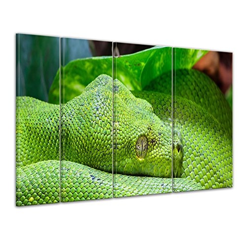 Keilrahmenbild grüne Python - 180x120 cm Bilder als Leinwanddruck Fotoleinwand Tierbild Schlange - Wildtier - Nahaufnahme eines grünen Baumpython