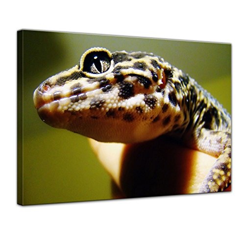 Keilrahmenbild - Echse - Bild auf Leinwand - 120 x 90 cm - Leinwandbilder - Bilder als Leinwanddruck - Tierwelten - Wildtiere - Kleiner Leopardengecko