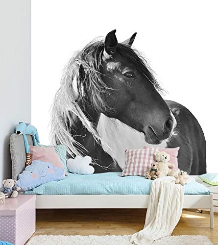 Fototapete selbstklebend Pferd Portrait - schwarz weiß 100x100 cm - Wandtapete - Poster - Dekoration - Wandbild - Wandposter - Bild - Wandbilder - Wanddeko