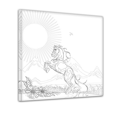 Bilderdepot24 Pferd - Ausmalbild auf Leinwand, aufgespannt auf Rahmen - Quadrat-Format - 40x40 cm