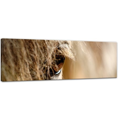 Wandbild Pferdeauge II - 160x50 cm Bilder als Leinwanddruck Fotoleinwand Tierbild Reittier - Natur Closeup eines braunen Pferdes