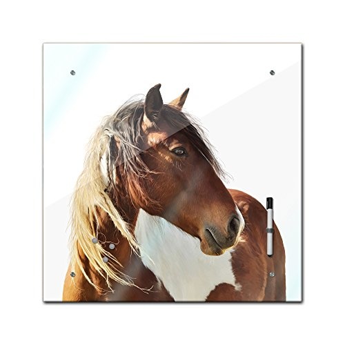 Memoboard 40 x 40 cm, Tiere - Pferd Portrait - Memotafel...