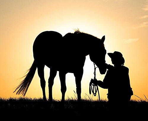Bilderdepot24 Vlies Fototapete - Pferd mit Cowboy - 220x180 cm - mit Kleister - Poster - Foto auf Tapete - Wandbild - Wandtapete - Vliestapete