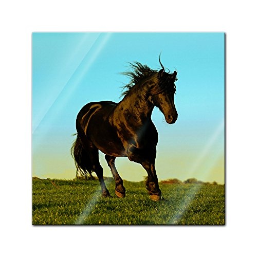 Glasbild - Pferd - 20 x 20 cm - Deko Glas - Wandbild aus...