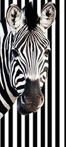 Türtapete selbstklebend Zebra vor Einem gestreiften Hintergrund 90 x 200 cm - einteilig Türaufkleber Türfolie Türposter - Tier gestreift schwarz Weiss Pferd Streifenmuster Afrika Wildtier Tierbild