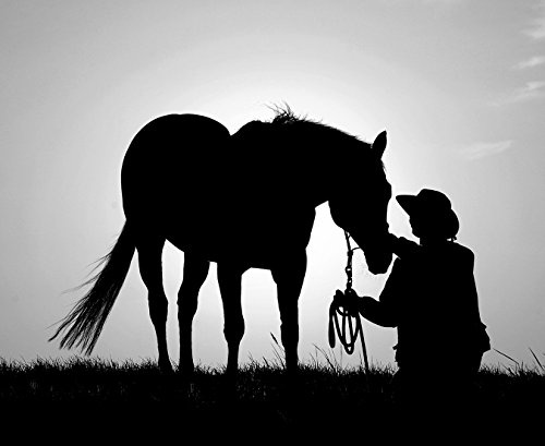 Fototapete selbstklebend Pferd mit Cowboy - schwarz weiß 120x100 cm - Wandtapete - Poster - Dekoration - Wandbild - Wandposter - Bild - Wandbilder - Wanddeko