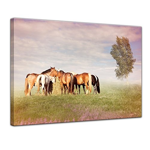 Wandbild Pferde auf der Weide - 70x50 cm Bilder als...