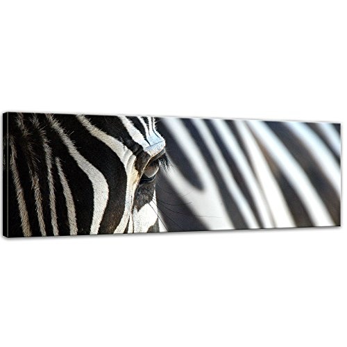 Wandbild - Zebra - Bild auf Leinwand - 90 x 30 cm - Leinwandbilder - Bilder als Leinwanddruck - Tierwelten - Natur - Afrika - gestreiftes Tier