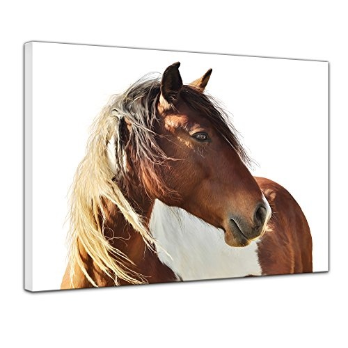 Keilrahmenbild Pferd - Portrait - 120x90 cm Bilder als...