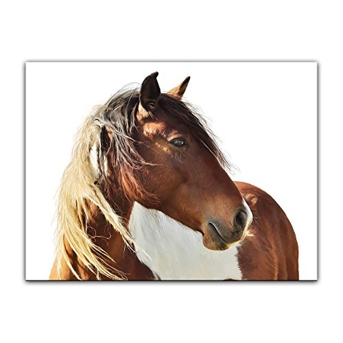 Keilrahmenbild Pferd - Portrait - 120x90 cm Bilder als Leinwanddruck Fotoleinwand Tierbild Reittier - Nahaufnahme - braunes Pferd