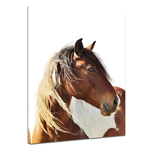 Keilrahmenbild Pferd - Portrait - 90x120 cm Bilder als Leinwanddruck Fotoleinwand Tierbild Reittier - Nahaufnahme - braunes Pferd